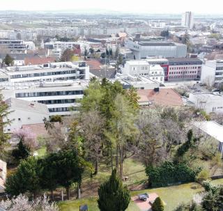 attraktives Grundstück mit Altbaumbestand in Bestlage von Eisenstadt Bild