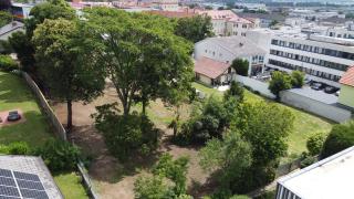 attraktives Grundstück mit Altbaumbestand in Bestlage von Eisenstadt Bild